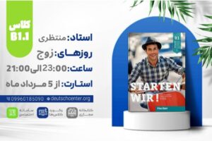 ترمیک B1.1